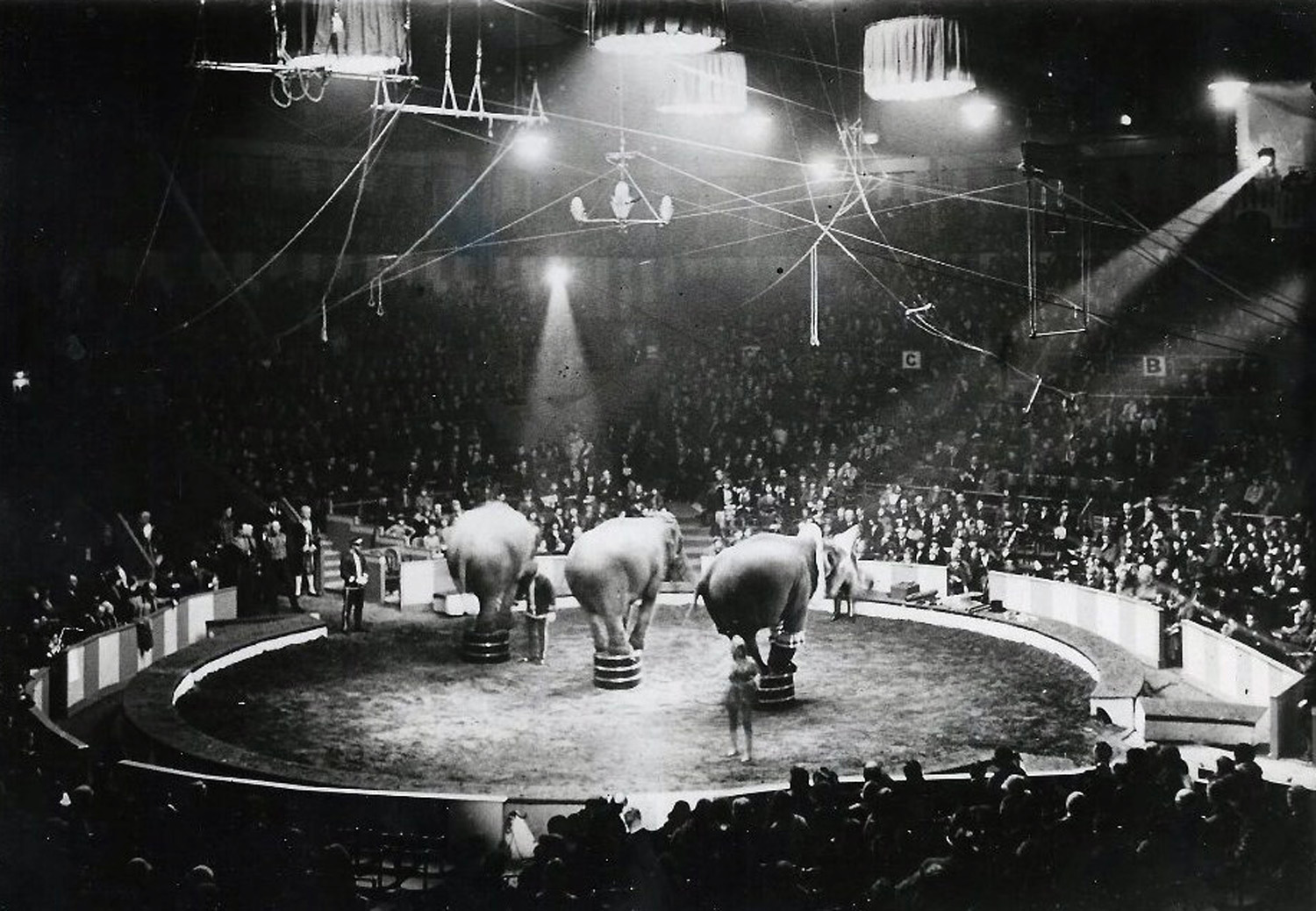 Bertram Mills Circus at Olympis (1950)