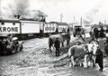 Krone Circus Train 1938.jpg