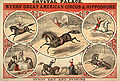 Myers' Great American Circus & Hippodrome (1876).jpeg
