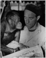 Fritz Schulz and orangutan.jpg