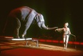 Diana Benneweis and elephant.jpg