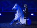Al Saheel Sitting Horse.jpg
