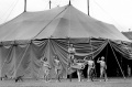 Circus Oz Founding Members.jpg