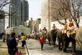 Gunther Elephants 1993.jpg