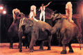 Jose Maria Gonzalez Elephants.jpeg