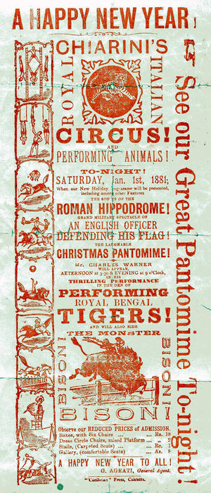 Chiarini Poster 1881.jpg