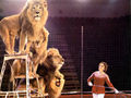 Irina Bugrimova and lions.jpg