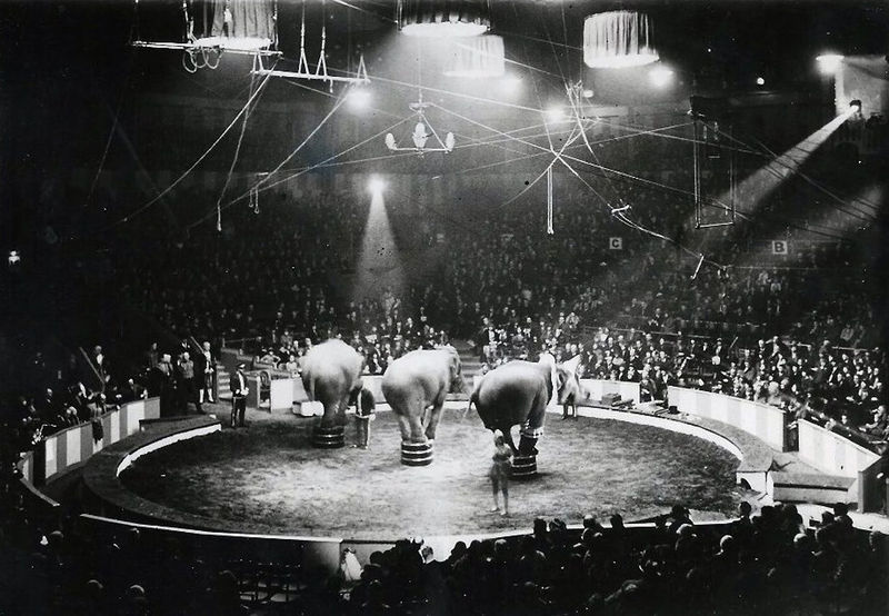 File:Mills Elephants (1950).jpeg