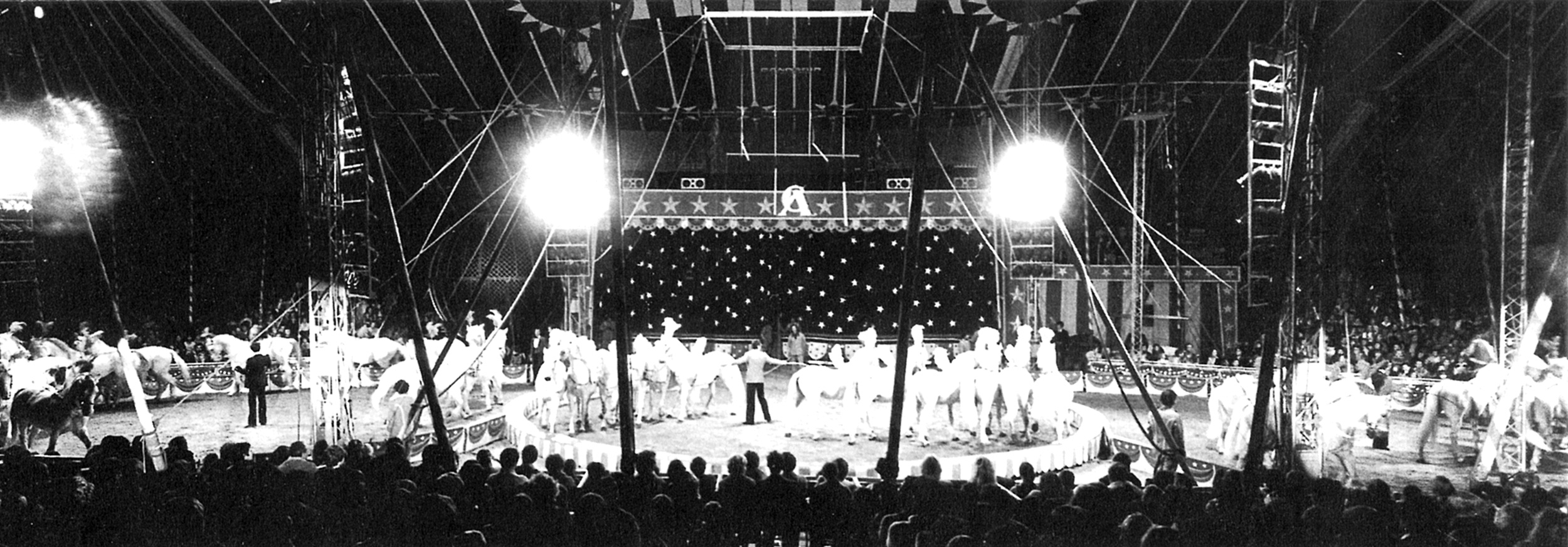 The horse display at Circo Americano in Paris (1979)