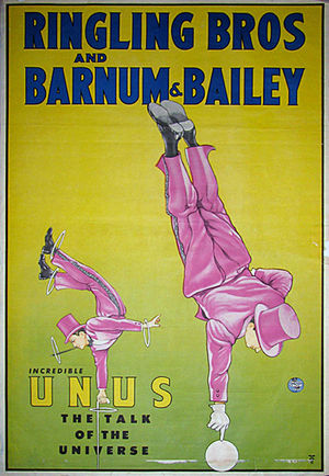 Unus - Circopedia