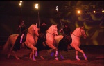 Al Saheel Torch Riders.jpg