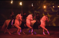 Al Saheel Torch Riders.jpg