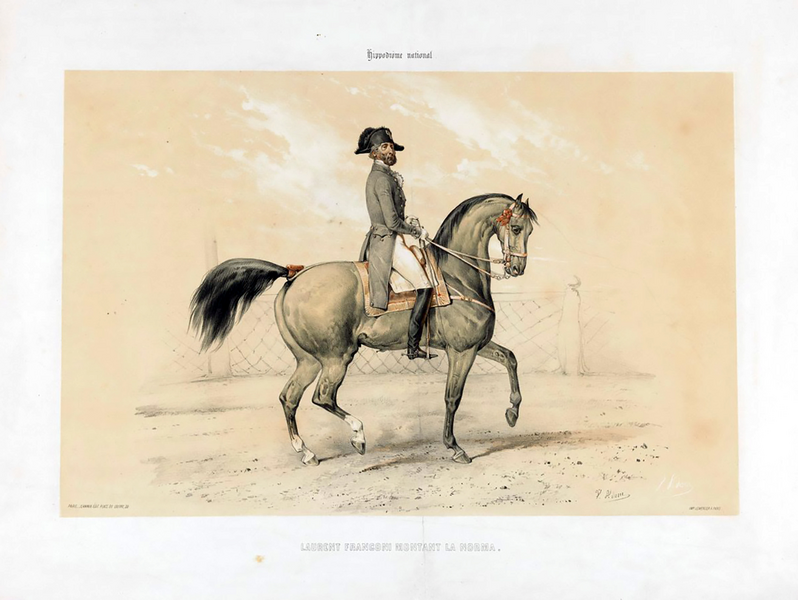 File:Laurent Franconi - Adam.png
