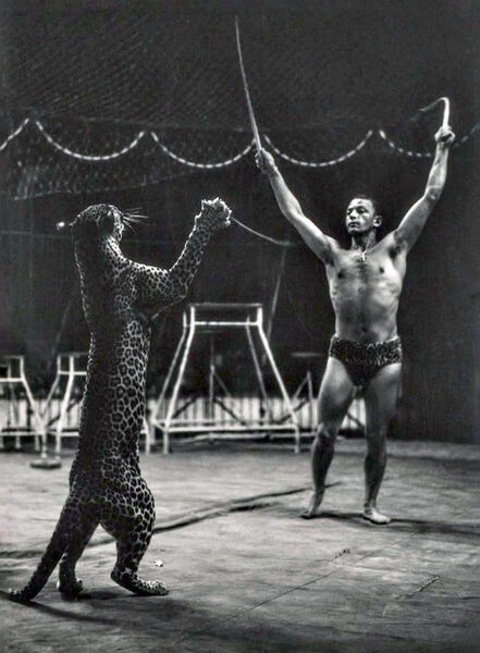 File:Philippe Gruss 1959.jpg