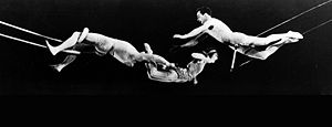 Codonas Passing Leap.jpg