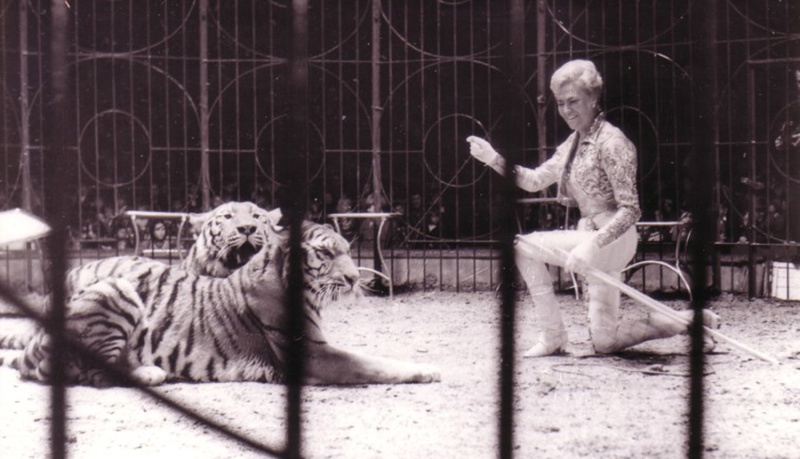 File:Yvonne Berman at Olympia.jpg