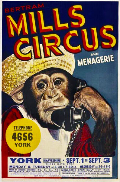 File:Bertram Mills Poster.jpg