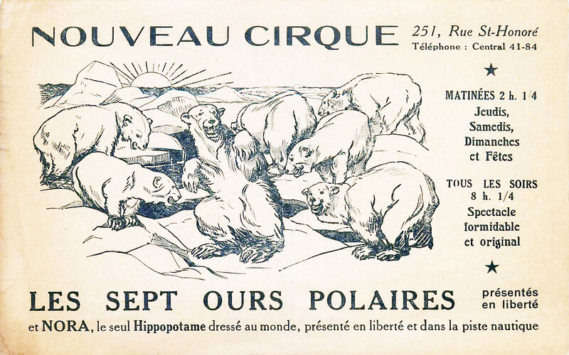 File:Nouveau Cirque Polar Bears.jpg