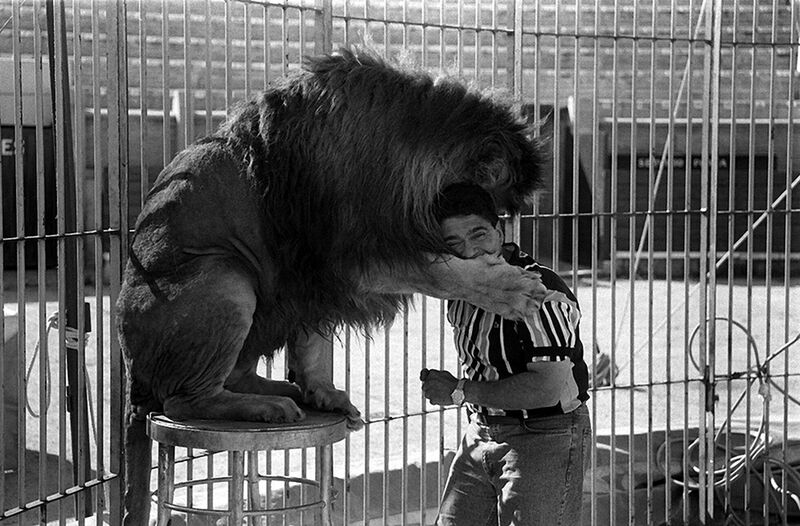 File:Angel Cristo and lions.jpg