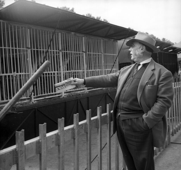 File:Firmin Bouglione - Cages.jpg