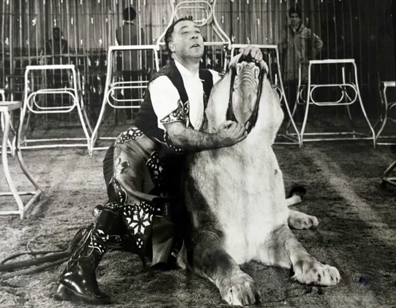 File:Pablo Noel - lioness.png