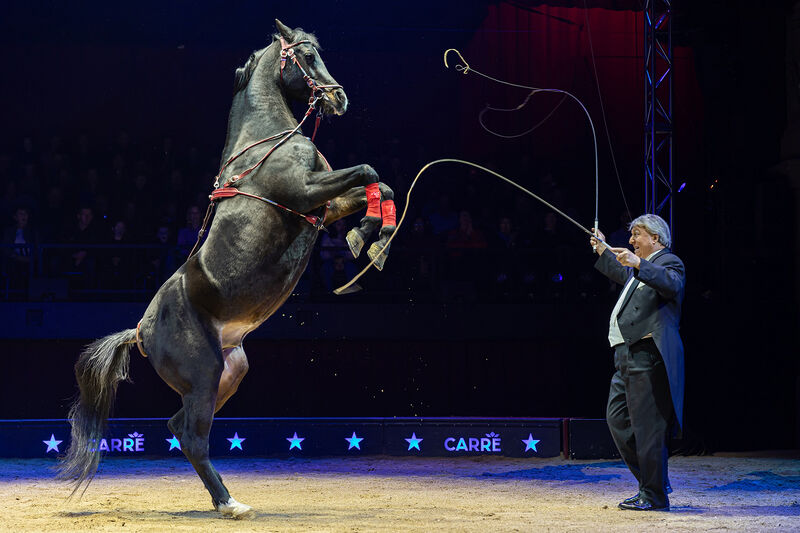 File:Flavio Togni - Carre.jpg