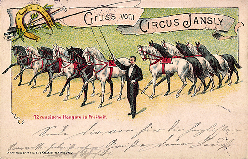 File:Circus Jansly Postcard.png