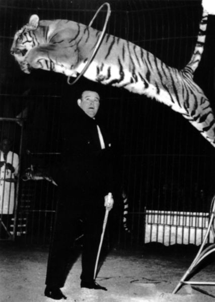 File:Carl Sembach and tiger.jpg
