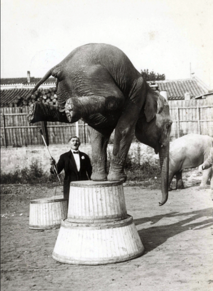 File:Eugène Vasserot.png