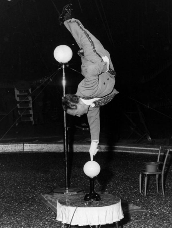 Big Apple Circus - Circopedia