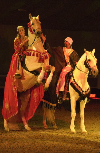 File:Al Saheel Couple Cabrade.jpg
