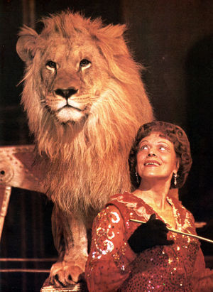 Irina Berdkova, menga mushukingni korsat