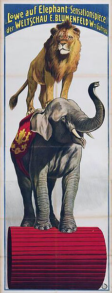 File:Blumenfeld lion-elephant poster.jpg