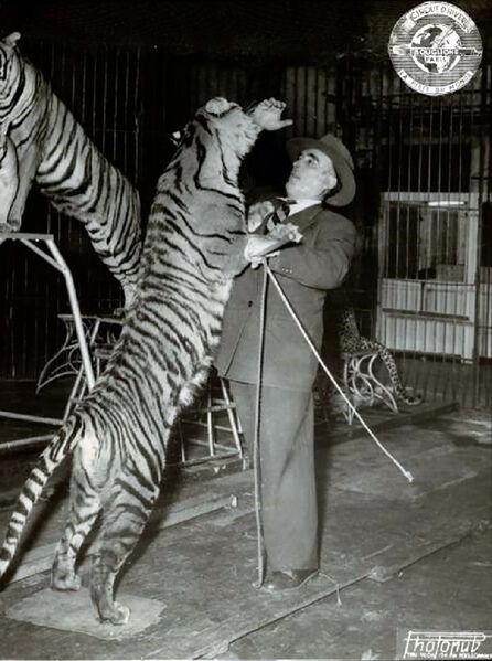 File:Firmin Bouglione and Tiger.jpg