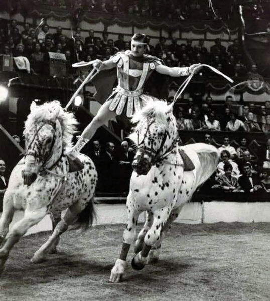 File:Emilien Bouglione Courier.jpg